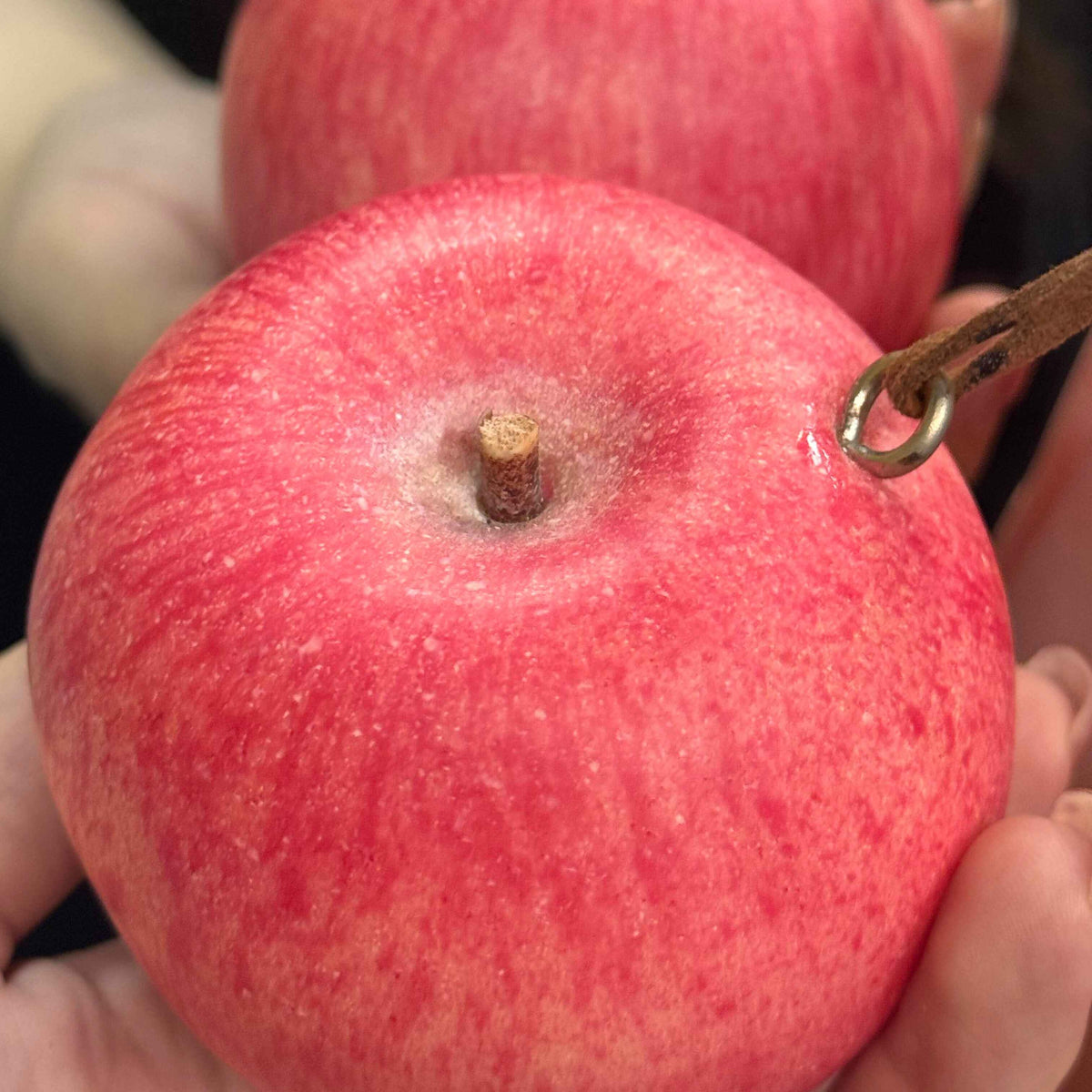 Lifelike Fruit Bag Charm – Apple, Orange & Tomato
